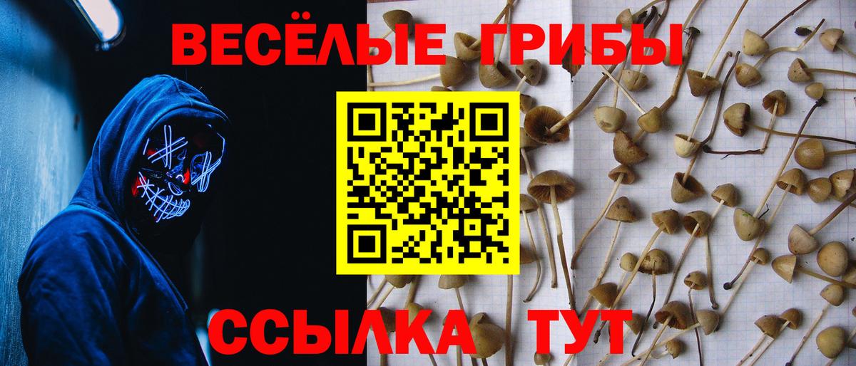 Псилоцибиновые грибы Magic Shrooms  Вход с VPN  Калуга  Псилоцибиновые грибы мухоморы 
